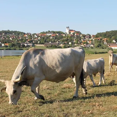 Napkelte Lägenhet *