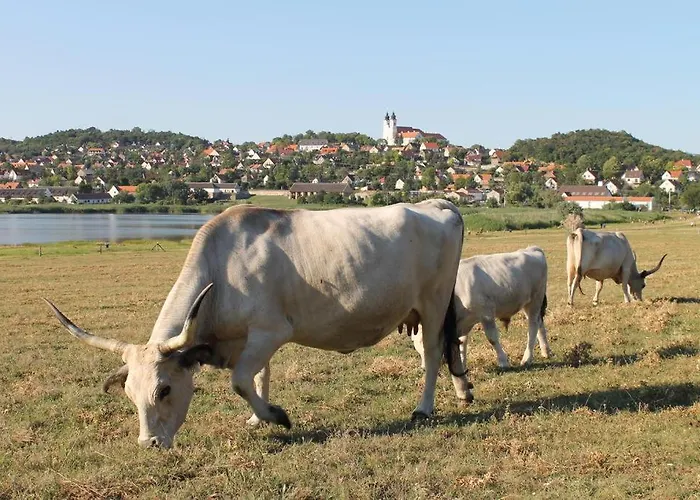 Napkelte Appartamento *